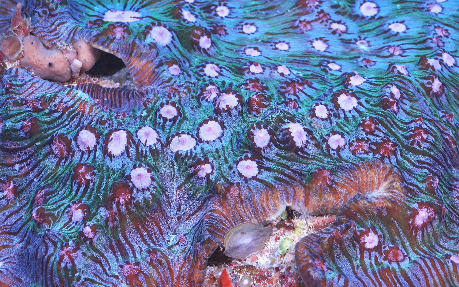 Misteri Laut